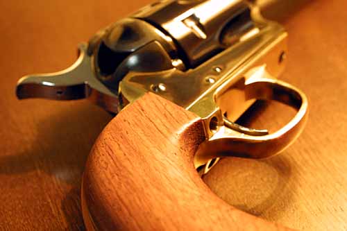 GUN