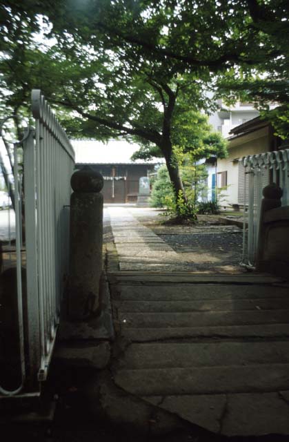 hashi35.jpg (49057 oCg)