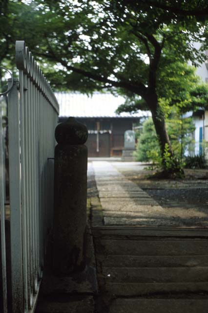 hashi50.jpg (44552 oCg)