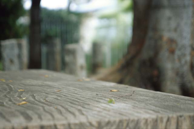table85.jpg (21851 oCg)