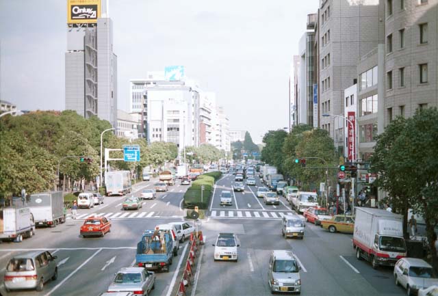 ms19-f1_9.jpg (54452 oCg)