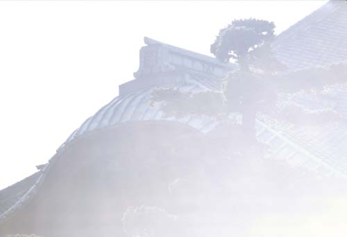 inf-e135-4-500.jpg (30220 oCg)