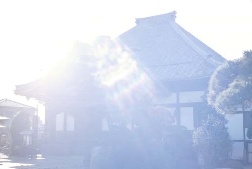 inf-e50-4-500.jpg (38688 oCg)