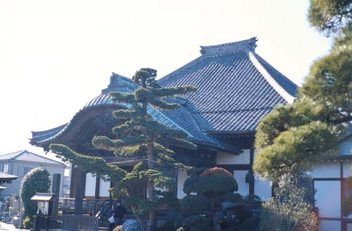 inf-e50f28.jpg (32974 oCg)