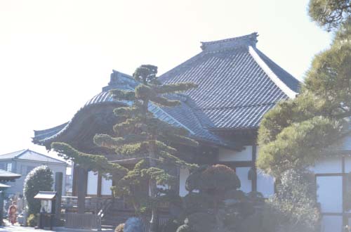 inf-f52f28.jpg (25592 oCg)