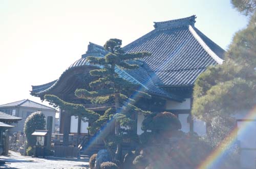 inf-i50f35.jpg (28210 oCg)