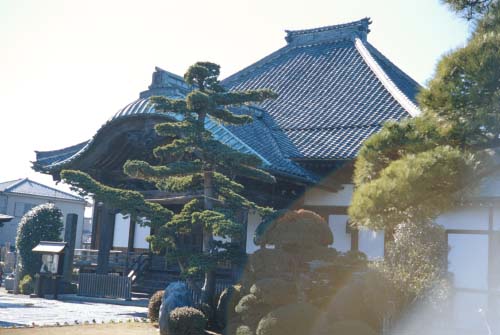 inf-j50f15.jpg (34197 oCg)