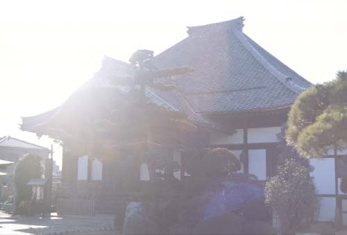 inf-ms50-4-500.jpg (39838 oCg)