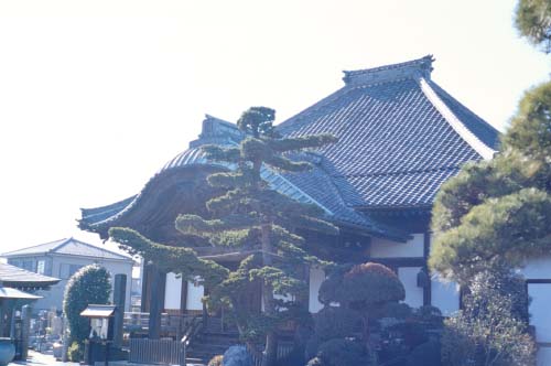 inf-s50f2.jpg (29247 oCg)