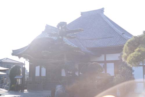 inf-x50-4-500.jpg (38176 oCg)
