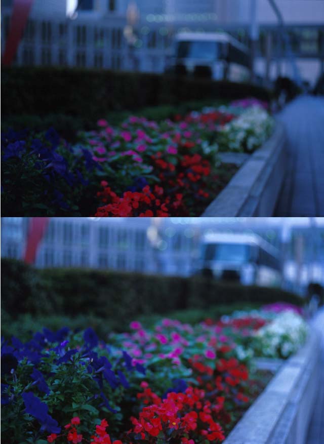 ph-e-s-no4.jpg (52573 バイト)
