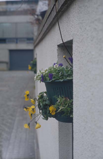 summarit-fl56.jpg (25836 �o�C�g)